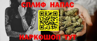 шишки Аша