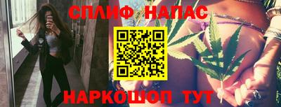 шишки Аша
