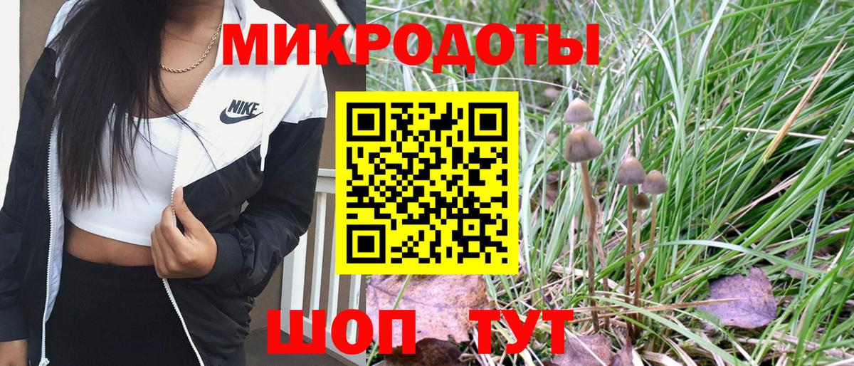 Псилоцибиновые грибы ЛСД Грязи