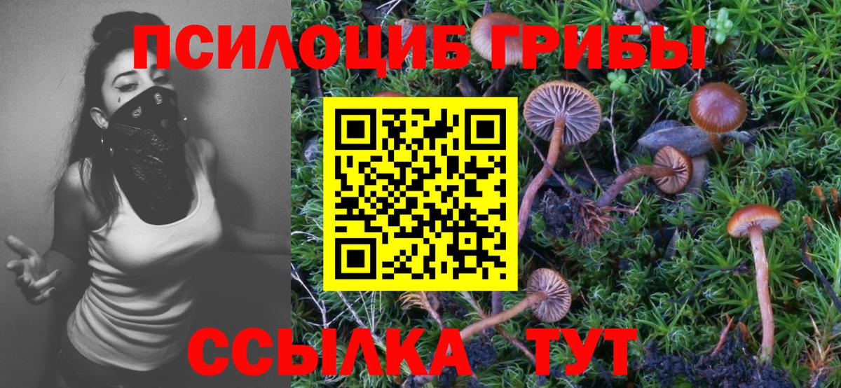 Грязи  Галлюциногенные грибы ЛСД  Вход с VPN 
